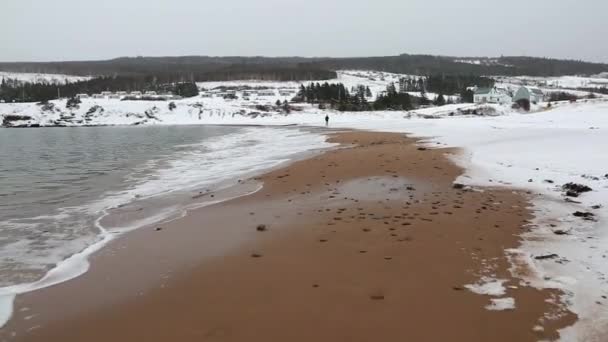 Sandy beach covered in snow — Stock Video