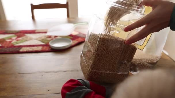 Mujer llenando recipientes de comida — Vídeo de stock