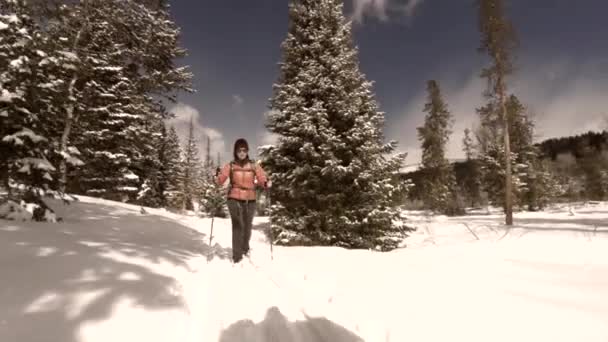 Une femme ski de fond — Video