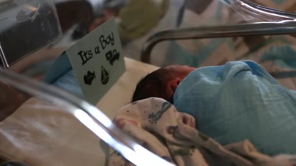 Pequeño bebé recién nacido durmiendo — Vídeo de stock