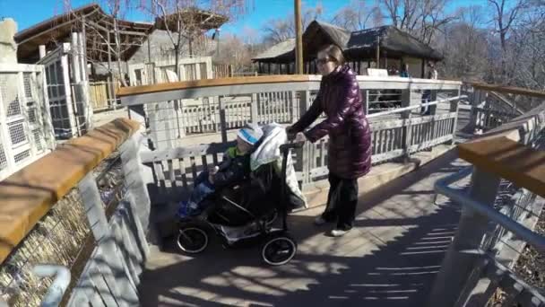 Мать и ребенок в коляске в зоопарке — стоковое видео
