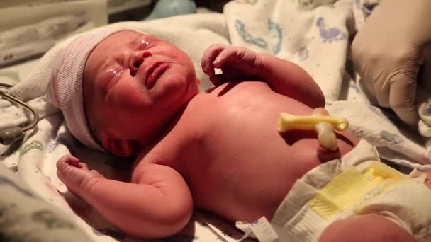 Nyfött barn tas om hand av sjuksköterska — Stockvideo