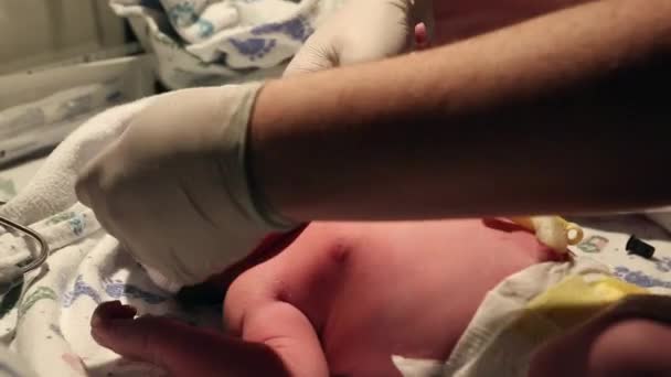 Pasgeboren baby wordt verzorgd door verpleegster — Stockvideo