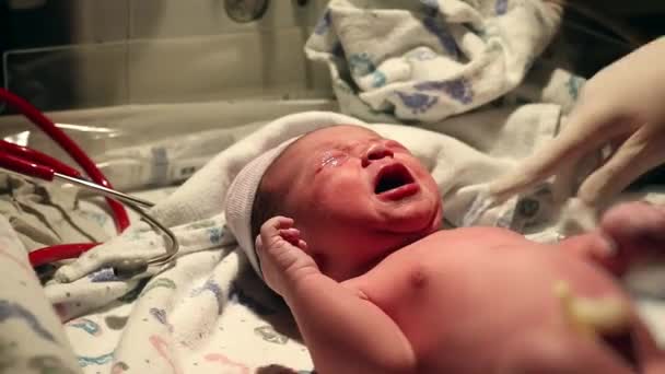 Baby rengörs av vårdpersonalen — Stockvideo