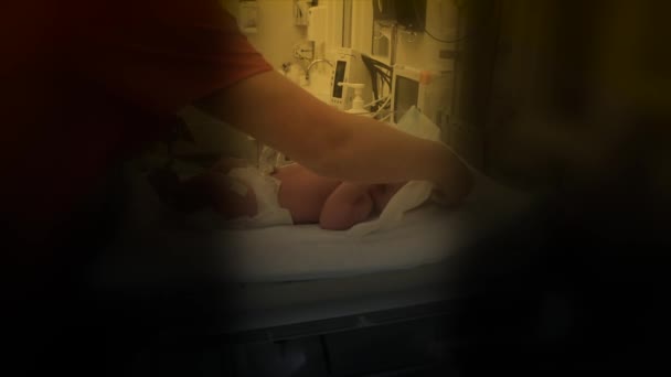 Ein kleines Neugeborenes, das untersucht wird — Stockvideo
