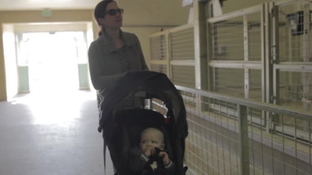 Donna e bambino allo zoo — Video Stock