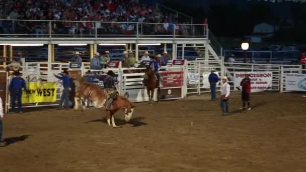 Cowboy Sattel Bronc Reiten — Stockvideo