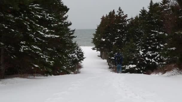 Man wandelen in sneeuwschoenen — Stockvideo