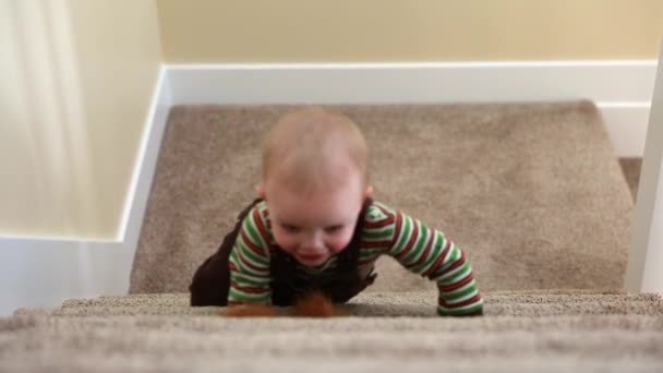 Μικρό παιδί παίζει στις σκάλες — Αρχείο Βίντεο