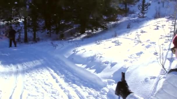 Bir kadın cross country kayak — Stok video