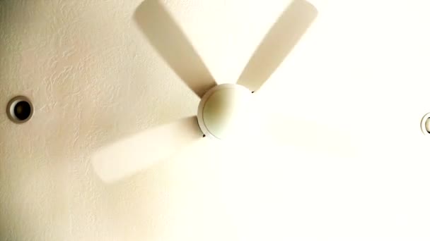 Ventilatore a soffitto acceso — Video Stock