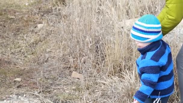 Madre y niño alimentando caballos — Vídeo de stock