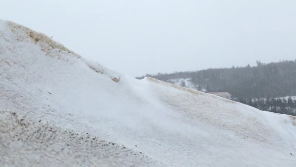 Bella scena invernale di una neve — Video Stock