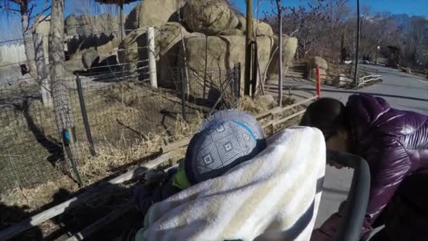 母亲和蹒跚学步的婴儿小推车在动物园 — 图库视频影像