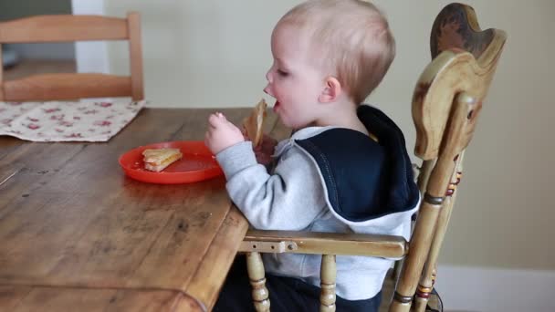 Мальчик ест свой жареный сыр — стоковое видео
