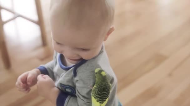 Boy with parakeet bird — Stock Video