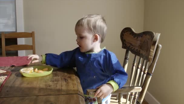 Fiú eszik egy grillezett sajtos szendvics — Stock videók