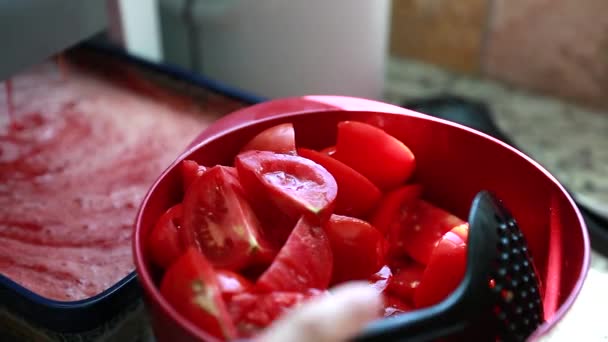 Mulher fazendo molho de tomate — Vídeo de Stock