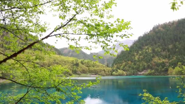 Jezioro w dolinie juizhaigou — Wideo stockowe