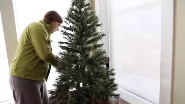 Γυναίκα που προετοιμάζει το χριστουγεννιάτικο δέντρο — Αρχείο Βίντεο