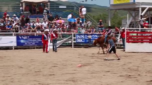 Boy calf riding in childrens rodeo — Stock Video