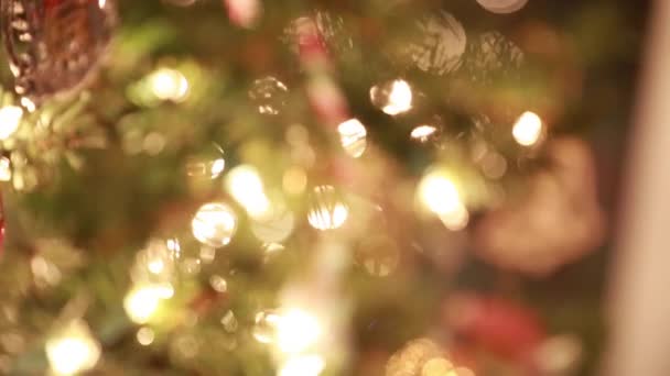 Διακοσμήσεων χριστουγεννιάτικων δέντρων — Αρχείο Βίντεο