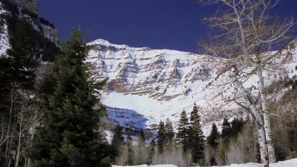 Beautiful mountain range — Stock Video