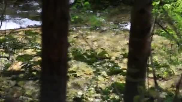 Красивый чистый ручей в долине Цзючжайгоу — стоковое видео