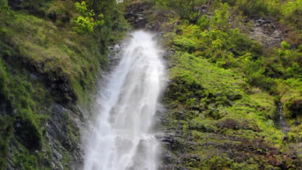 Beautiful jungle waterfall — Stock Video