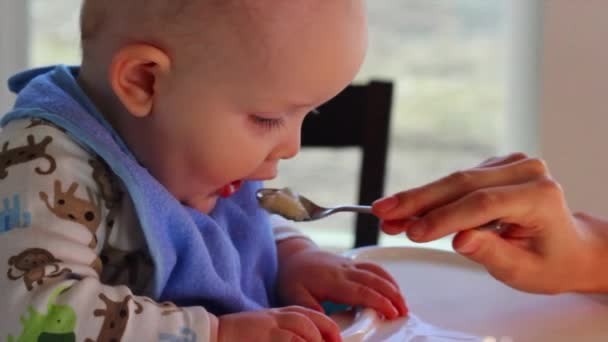 A beautiful baby boy being fed — Stock Video