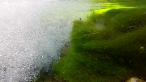 Hermosas burbujas en un arroyo — Vídeos de Stock