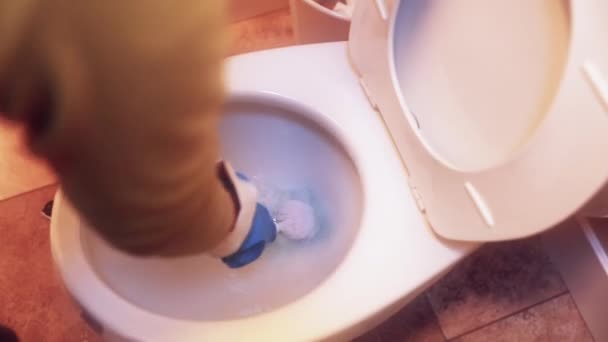 Woman scrubs a toilet — Stock Video