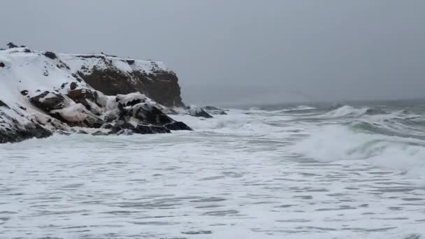 Nieve cubierta costa del océano — Vídeos de Stock