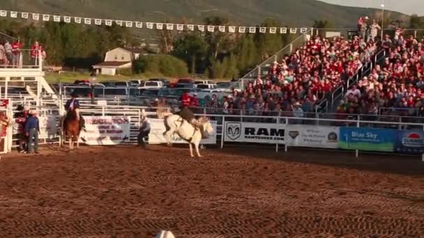 Sedla na koni v rodeo zpomalené — Stock video