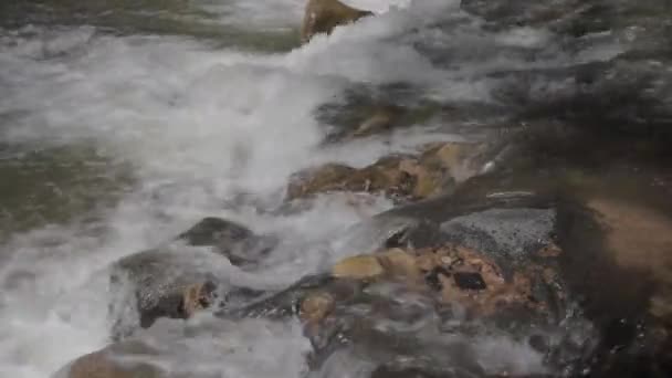 Une belle rivière du désert — Video