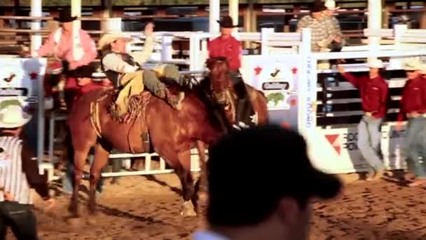 Sedla na koni v rodeo — Stock video