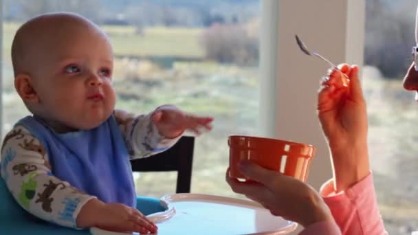 Baby boy being fed — Stock Video