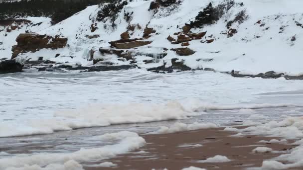 Winterszene der schneebedeckten Küste — Stockvideo