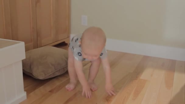 Ein Junge, der mit einem Tunnel spielt — Stockvideo