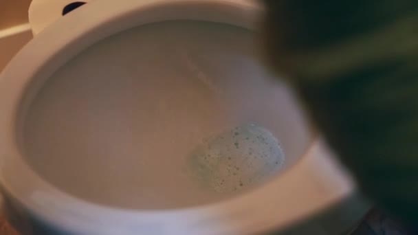 Vrouw scrubs een toilet — Stockvideo