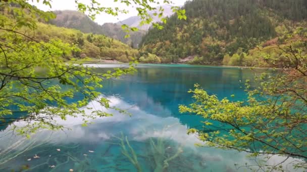 Lake in juizhaigou vallei — Stockvideo