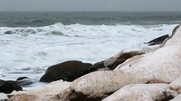 Escena de invierno de la costa cubierta de nieve — Vídeo de stock