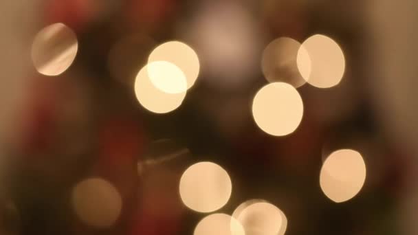 Рождественская елка с огнями — стоковое видео