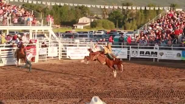 Barbacka ridning i rodeo — Stockvideo