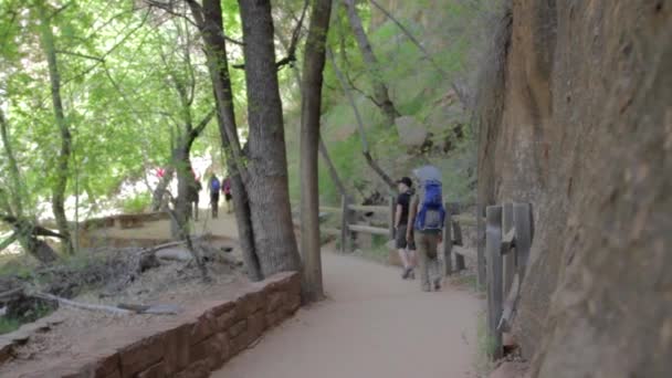 Baby in a backpack carrier — Stock Video