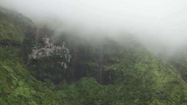 Selva de Kauai e cachoeiras — Vídeo de Stock