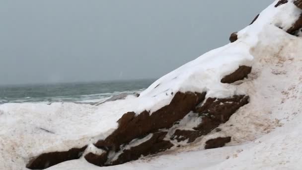 Winter scene of snow covered coast — Stock Video