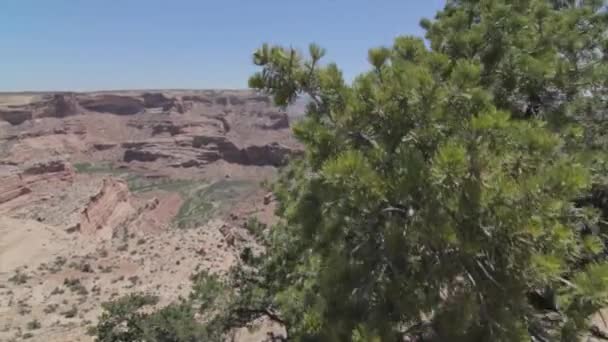 Grand canyon in dry desert — Stock Video