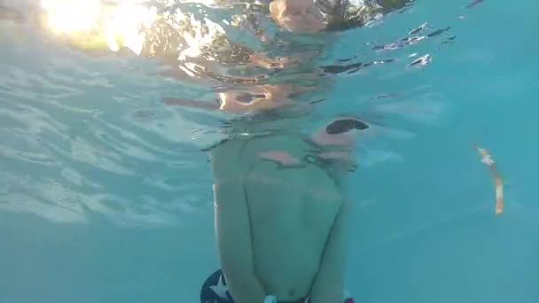 Garçon dans la piscine froide — Video