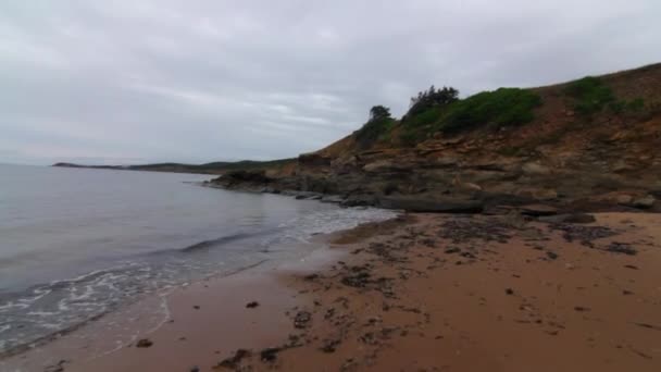 Uma bela praia oceânica — Vídeo de Stock